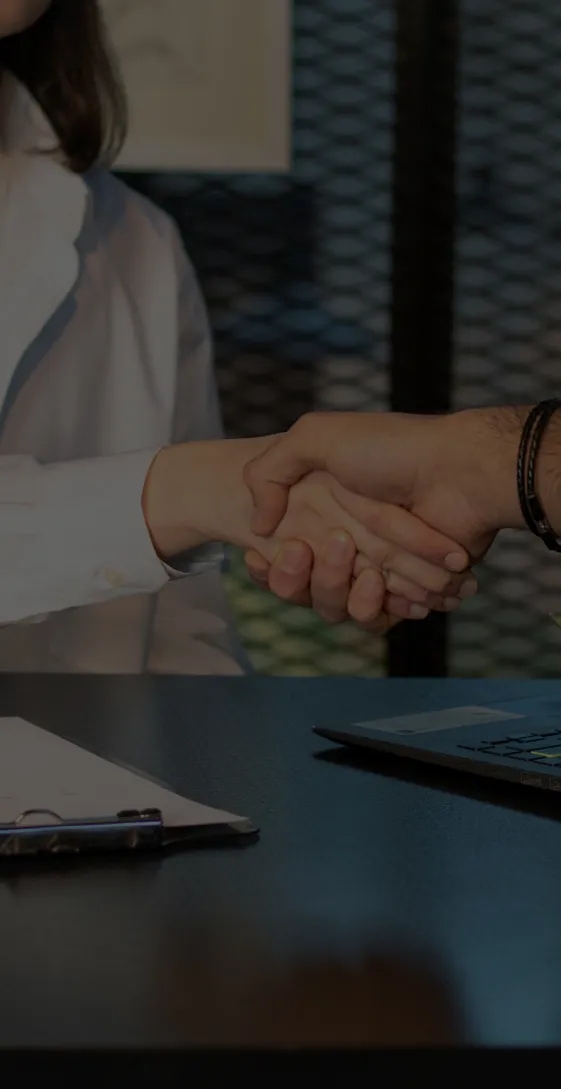 Mate opening page background about partners