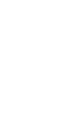mate pattern