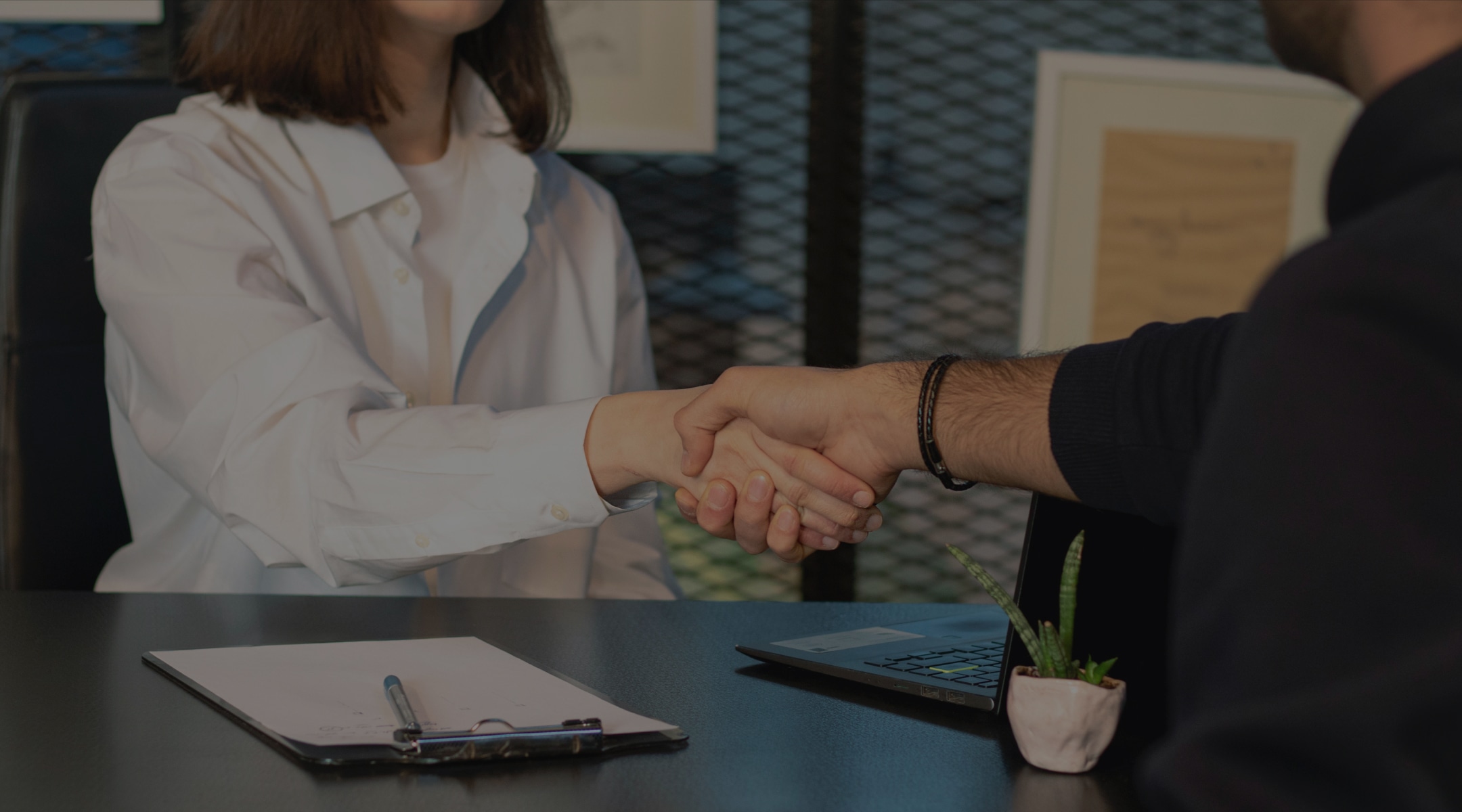 Mate opening page background about partners